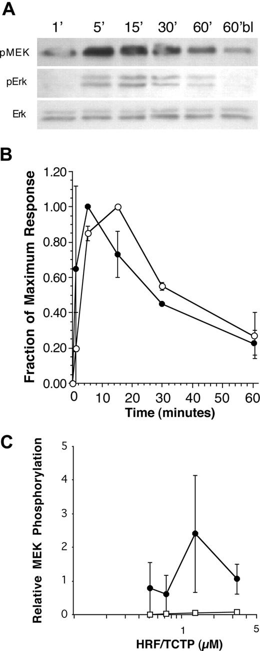 Figure 6. Phosphorylation of MEK and ERK by HRF/TCTP. Basophils were stimulated with HRF/TCTP, and then cell lysates were prepared and Western blotted for phospho-MEK and phospho-ERK as described in “Methods.” (A) Representative experiment showing phosphorylation of MEK in an HRF/TCTP-R donor (top row), phosphorylation of ERK in an HRF/TCTP-R donor (middle row), and equal loading of lanes as determined by anti-ERK (bottom row). (B) Phosphorylation of kinetics of MEK in 3 HRF/TCTP-R donors (●) compared with phosphorylation of kinetics of ERK in 2 HRF/TCTP-R donors (○). All stimulation was done with 1.09 μM HRF/TCTP. (C) Dose response of HRF/TCTP-induced MEK phosphorylation in 3 HRF/TCTP-R donors (●). There was no HRF/TCTP induced phosphorylation of MEK in HRF/TCTP-NR donors (□; n = 3). The standard error is represented by the error bars.