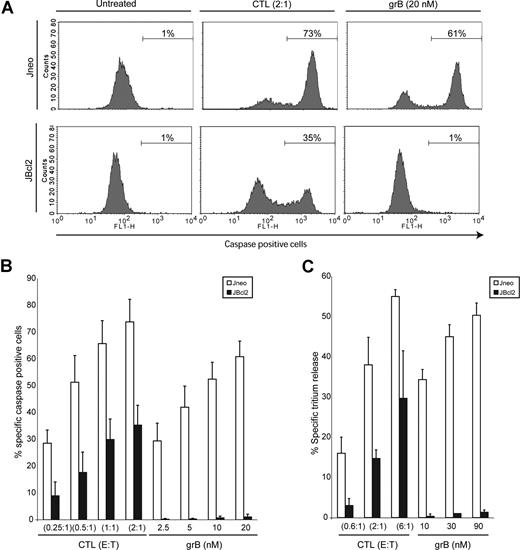 Figure 1. CTLs cause target cell death of Bcl-2–overexpressing cells. (A) CTLs induce caspase activation in target cells overexpressing Bcl-2. Jneo cells (top row) and JBcl-2 cells (bottom row) were preloaded with Cell Trace Far red (FL-4) prior to incubation with CTLs (E/T ratio = 2:1) or grB/AD (20 nM grB). Cells were stained with the caspase indicator zVAD-FITC, and FL-4+ target cells were analyzed for caspase activation in the FL-1 (FITC) channel. This is a representative example of 1 of 4 independent experiments done in triplicate. (B) CTLs induce caspase activation in target cells overexpressing Bcl-2. Jneo cells (□) and JBcl-2 cells (■) were preloaded with CTFR (FL-4) and incubated for 2 hours with CTLs at E/T ratios of 0.25:1, 0.5:1, 1:1, and 2:1 (CTLs), or 2.5 nM, 5 nM, 10 nM, and 20 nM grB with AD, then loaded with the caspase indicator zVAD-FITC. FL-4+ target cells were analyzed for caspase activation by flow cytometry. The numbers indicate the average of 4 independent experiments done in triplicate, with the corresponding standard deviation. (C) CTLs induce tritium release in target cells overexpressing Bcl-2. Jneo cells (□) and JBcl-2 cells (■) were preloaded with 3H-thymidine and incubated for 2 hours with CTLs at E/T ratios of 0.6:1, 2:1, and 6:1 (CTLs), or 10 nM, 30 nM, and 90 nM grB (grB). The numbers indicate the average of 3 independent experiments done in triplicate, with the corresponding standard deviation.