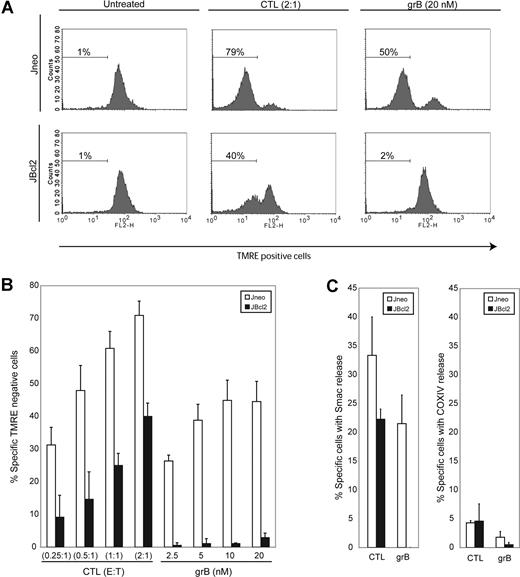 Figure 2. CTLs activate the mitochondrial apoptotic pathway in Bcl-2–overexpressing cells. (A) CTLs induce mitochondrial electrochemical potential loss in target cells overexpressing Bcl-2. Jneo cells (top row) and JBcl-2 cells (bottom row) were preloaded with CTFR (FL-4) prior to incubation with CTLs (E/T ratio = 2:1) or grB/AD (20 nM grB). Cells were stained with the mitochondrial potential indicator dye TMRE, and FL-4+ target cells were analyzed for TMRE loss in the FL-2 channel. This is a representative example of 1 of 4 independent experiments done in triplicate. (B) CTLs induce mitochondrial electrochemical potential loss in target cells overexpressing Bcl-2. Jneo cells (□) and JBcl-2 cells (■) were preloaded with CTFR (FL-4) and incubated for 2 hours with CTLs at E/T ratios of 0.25:1, 0.5:1, 1:1, and 2:1 (CTLs), or 2.5 nM, 5 nM, 10 nM, and 20 nM grB with AD, then loaded with the mitochondrial potential indicator dye TMRE. FL-4+ target cells were analyzed for TMRE loss by flow cytometry. The numbers indicate the average of 4 independent experiments done in triplicate, with the corresponding standard deviation. (C) CTLs induce MOMP in target cells overexpressing Bcl-2. Jneo cells (□) and JBcl-2 cells (■) were preloaded with CTFR (FL-4) and incubated for 2 hours with CTLs at an E/T ratio of 2:1 or grB/AD (10 nM grB). Cells were gently permeabilized with digitonin to release soluble cytosolic proteins prior to fixation. Cells were then completely permeabilized with saponin and processed for intracellular staining for Smac/DIABLO (left panel) or COXIV (right panel).