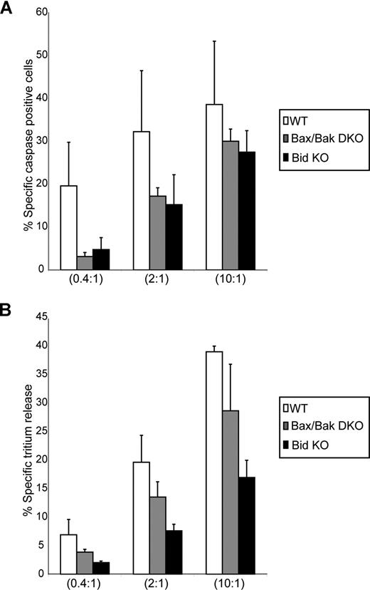 Figure 3. CTLs cause target cell death of Bid- and Bax/Bak-null target cells. (A) CTLs induce caspase activation in target cells lacking expression of Bid and Bax/Bak. Wild-type (WT) cells (□) and Bax/Bak double-KO cells (Bax Bak DKO; ▩) and Bid KO cells (■) were preloaded with CTFR (FL-4) and incubated for 2 hours with CTLs at E/T ratios of 0.4:1, 2:1, and 10:1, then loaded with the caspase indicator zVAD-FITC. FL-4+ target cells were analyzed for caspase activation by flow cytometry. The numbers indicate the average of 3 independent experiments done in triplicate, with the corresponding standard deviation. (B) CTLs induce tritium release in target cells lacking expression of Bid and Bax/Bak. WT cells (□) and Bax Bak DKO (▩) and Bid KO cells (■) were preloaded with 3H-thymidine and incubated for 2 hours with CTLs at E/T ratios of 0.4:1, 2:1, and 10:1. The numbers indicate the average of 3 independent experiments done in triplicate, with the corresponding standard deviation.