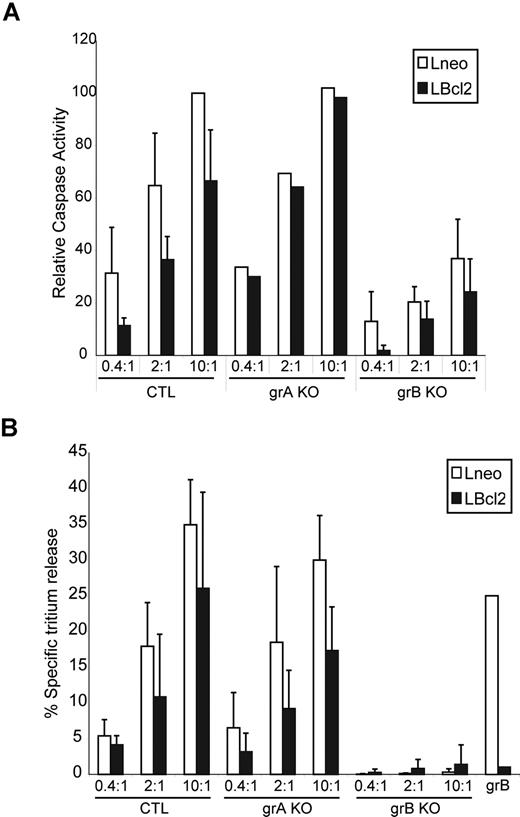 Figure 5. CTL target cell apoptosis is dependent on grB, and the Bcl-2 block is still reversed in the absence of grA. CTLs were derived from splenocytes of control WT mice (WT), grA KO mice (grA KO), and grB-cluster KO mice (grB KO). (A) Control mouse L cells (Lneo; □) and Bcl-2–overexpressing L cells (LBcl-2; ■) were preloaded with CTFR (FL-4) and incubated for 2 hours with CTLs at E/T ratios of 0.4:1, 2:1, and 10:1. Cells were then loaded with the caspase indicator zVAD-FITC (FL-1), and caspase activation of target cells (FL-4+ cells) were assessed by flow cytometry. Results of each treatment are graphed as the percentage of specific caspase-positive cells relative to the percentage of specific caspase-positive target cells treated with WT CTLs at an E/T ratio of 10:1. (B) Lneo cells (□) and LBcl-2 cells (■) were preloaded with 3H-thymidine and incubated for 2 hours with CTLs at E/T ratios of 0.4:1, 2:1, and 10:1. The percentage of specific tritium release was determined as outlined in “Apoptosis detection systems.” The numbers indicate the average of 3 independent experiments done in triplicate, with the corresponding standard deviation.