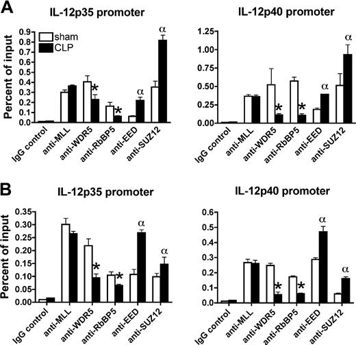Figure 7. Altered recruitment of HMT complexes at Il12 promoters in postseptic splenic DCs. Splenic DCs were isolated from sham and CLP mice at either day 11 (A) or 6 weeks (B) after surgery. Using appropriate antibodies directed against the core components of the MLL and PRC2 complexes, recruitment of the core components to the promoter regions of Il12p35 and Il12p40 was determined by ChIP assay. The results shown are representative of 2 to 3 independent experiments and are expressed as means plus or minus SEM. *, α P ≤ .05 compared with splenic DCs from sham mice.