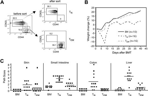 Figure 1. CD4+ TEMs do not induce GVHD in the B6bm12→B6 strain pairing. B6 mice were irradiated and reconstituted with T-cell–depleted B6bm12 BM, with no T cells, or with 5 × 105 TN or 106 TEM B6bm12 CD4 cells. Data were combined from 2 independent experiments. (A) Sorting of TN and TEM CD4 cells from splenocytes. The first panel is gated on CD4+CD25− cells, which were sorted into TNs and TEMs based on the expression of CD62L and CD44. Numbers on plots are percentages of total cells within the rectangles. (B) Weight change (P < .007 at days 5, 7, and 9; P < .02 at days 34, 37, and 40 comparing recipients of TNs versus TEMs). P values are not significant at any time point comparing BM versus TEMs. (C) Pathology scores from day 43 after transplantation. P values comparing TN and TEM recipients: P < .001 for liver, small intestine, and colon; P = .055 for skin. P values are not significant comparing scores for recipients of BM alone versus CD4+ TEMs. Horizontal lines represent mean values.