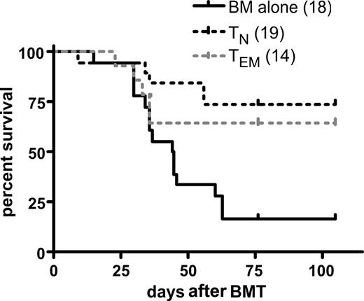 Figure 4. CD4+ TEMs mediate GVL against mBC-CML. Lethally irradiated B6 mice were reconstituted with T cell–depleted B6bm12 BM, 104 B6 mBC-CML cells, with no T cells, or with 106 CD4+ TEMs or 5 × 105 CD4+ TNs. Shown are results combined from 2 similar independent experiments. P = .024 comparing BM alone versus TEM recipients.
