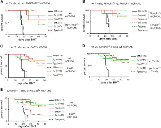 Figure 6. GVL mediated by CD4+ TEMs is intact when killing by FasL, TNF, TRAIL, and perforin is individually blocked, but is reduced when killing by both FasL and perforin is prevented. B6 mice were irradiated and reconstituted with T cell–depleted B6bm12 BM, mCP-CML derived from wt, Faslpr, or TNFR1R2−/− B6 mice (A,C,D) or TRAILR−/− or TRAILR+/+ littermates (B; data from 1 of 2 similar experiments), with no T cells, CD4+ TNs, or CD4+ TEMs from wt or perforin−/− B6bm12 mice. Survival curves are plotted (A-E). The strains from which donor T cells and mCP-CML were derived are noted above each graph. When individually blocked, killing via TNFR1/R2 (A; P > .21 for recipients of wt TEMs or TNs and TNFR1R2−/− mCP-CML versus wt mCP-CML), TRAILR (B; P > .12 for recipients of wt TEMs or TNs and TRAILR−/− mCP-CML versus TRAILR+/+ mCP-CML), Fas (C; P > .63 for recipients of wt TEMs or TNs and Faslpr mCP-CML versus wt mCP-CML), or perforin (D; P > .47 for recipients of wt mCP-CML and Prf1−/− versus wt TNs or TEMs) is not required for GVL by either CD4+ TNs or TEMs. However, when killing via both perforin and Fas was prevented (E), GVL by TEMs but not TNs was diminished (P = .03 comparing recipients of CD4+ Prf1−/− TEMs and wt mCP-CML versus CD4+ Prf1−/− TEMs and Faslpr mCP-CML; P = .01 for recipients of Faslpr mCP-CML and no T cells versus Faslpr mCP-CML and CD4+ Prf1−/− TEMs; P = .71 for recipients of CD4+ Prf1−/− TNs and wt mCP-CML versus CD4+ Prf1−/− TNs and Faslpr mCP-CML). Survival plots in panels C-E are from data combined from 2 independent experiments.