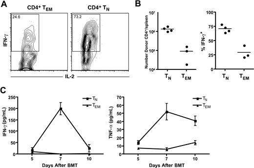 Figure 7. TEMs are defective in their ability to produce cytokines and induce lower levels of TNF-α and IFN-γ in recipients. B6 CD45.1 mice were irradiated and reconstituted with TCD B6bm12 BM with either 106 B6bm12 CD4+ TEMs or 5 × 105 CD4+ TNs. (A) Representative staining for intracellular IFN-γ and IL-2 in donor-derived CD45.1−CD4+ cells in spleens harvested day +7 after BM transplantation. Numbers on plots are the percentages of total cells in the rectangles. (B) Total number of donor CD4+Thy1.2+ cells in spleen on day +7 (left panel; P = .002) and the percentage of these that stain for intracellular IFN-γ (right panel; P = .001). Each symbol represents data from an individual mouse; the horizontal line is the mean. (C) Mice were bled on days +5, +7, and +10, and serum levels of IFN-γ and TNF-α were measured by Luminex technology. Recipients of TNs (relative to TEMs) had higher serum levels of IFN-γ (day +7; P < .001) and TNF-α (days +7 and +10; P = .002 and P = .015, respectively). Error bars represent SD.