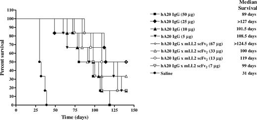 Figure 7. Survival curves of SCID mice bearing disseminated Burkitt lymphoma (Daudi) treated with hA20IgG-(LL2scFv)2 and compared with those treated with the parental hA20 IgG (veltuzumab). Mice were administered intraperitoneally twice weekly for 3 weeks 1 day after Daudi inoculation (1.5 × 107 cells intravenously) with one of 4 different doses of hA20IgG-(LL2scFv)2 or the molar equivalent doses of hA20 IgG.