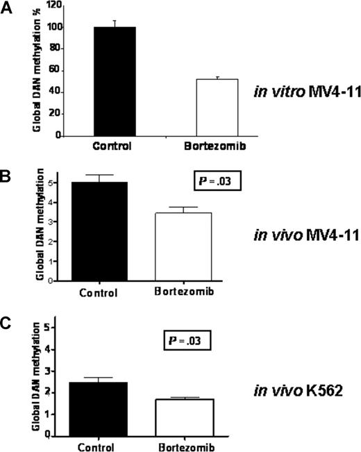 Figure 6. Bortezomib induces global DNA hypomethylation in vitro and in vivo. (A) Global DNA methylation was found to be decreased in MV4-11 cells treated in vitro with 20 nM bortezomib for 24 hours. (B,C) Global DNA hypomethylation was promoted in tumors from MV4-11(B) or K562 (C) xenograft mice following treatment with a single dose (2 mg/kg) of bortezomib (intravenous bolus). DNA (500 ng) was hydrolyzed and subjected to LC-MS/MS assay. Error bars represent SD.