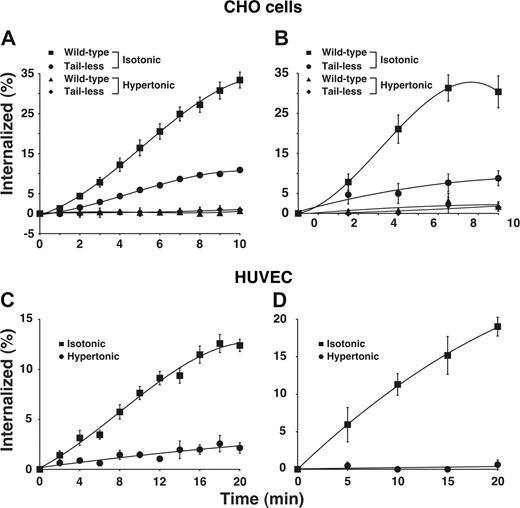 Figure 1. E-selectin is rapidly internalized in clathrin-coated pits of transfected CHO cells and cytokine-stimulated HUVECs. (A,B) The internalization rate of wild-type or tail-less E-selectin in transfected CHO cells was measured in isotonic medium or in hypertonic medium, which disrupts clathrin-coated pits. (C,D) The internalization rate of E-selectin in IL-1β–stimulated HUVECs was measured in isotonic or hypertonic medium. The internalization rate was measured by the ability of acidic buffer to remove surface-bound 125I-labeled anti-E-selectin mAb (A-C) or by the ability of sodium 2-mercaptoenthanesulfonate to remove biotin from cell surface E-selectin (B-D), after warming cells to 37°C for the indicated intervals. The data represent the mean plus or minus SEM from 3 to 16 experiments for each experimental condition.