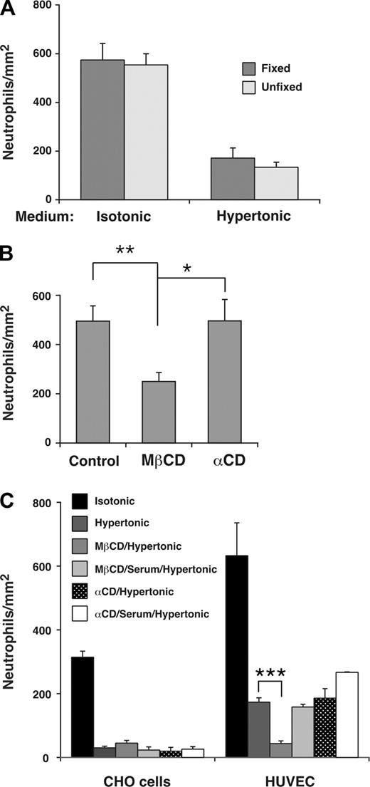 Figure 6. Interactions of E-selectin with lipid rafts in HUVECs enhance leukocyte rolling under flow. (A) Fixed neutrophils were perfused over unfixed or fixed IL-1β–stimulated HUVECs in isotonic or hypertonic medium at a wall shear stress of 1 dyne/cm2. The number of rolling neutrophils was measured after 4 minutes. The data represent the mean plus or minus SEM of 3 experiments. (B) IL-1β–stimulated HUVECs were pretreated in control isotonic medium or in medium containing MβCD or α-cyclodextrin (α-CD). Fixed neutrophils were then perfused in isotonic medium at a wall shear stress of 1 dyne/cm2. The number of rolling neutrophils was measured after 4 minutes. The data represent the mean plus or minus SEM of 5 experiments. (C) Fixed neutrophils were perfused over transfected CHO cells expressing wild-type E-selectin or IL-1β–stimulated HUVECs in isotonic medium; hypertonic medium; hypertonic medium after pretreatment of CHO cells or HUVECs with MβCD; hypertonic medium after pretreatment with MβCD and then 20% serum; hypertonic medium after pretreatment with α-cyclodextrin; or hypertonic medium after pretreatment with α-cyclodextrin and then 20% serum. The wall shear stress was 1 dyne/cm2. The number of rolling neutrophils was measured after 4 minutes. The data represent the mean plus or minus SEM of at least 3 experiments (*P < .05; **P < .01; ***P < .001, as measured by the unpaired t test).