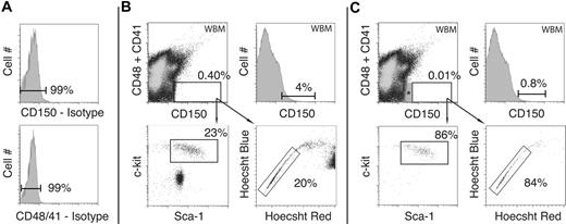 Figure 1. High correspondence of SLAM cells with the side population is dependent on stringent CD150 gating. (A) Whole bone marrow isotype controls for SLAM family members (CD48, CD41, and CD150). (B) When using SLAM family members to define HSCs, based on isotype controls, 45% of WBM cells are CD150+ and 0.4% are CD150+CD48−CD41− (termed SLAM cells). Only 23% of these cells are c-Kit and Sca-1 positive, and only 20% are side population (SP) cells. (C) When the gating for CD150 is more stringent (asterisks), reducing the number of SLAM cells to 0.01%, then both the percentage of c-Kit+ Sca-1+ and SP cells within the SLAM population increases to 86% and 84%, respectively. Percentages shown correspond to the gated proportion of the plot.
