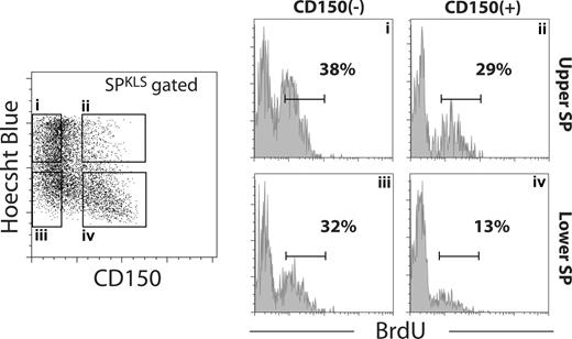 Figure 6. CD150 marks a population of more quiescent HSCs. SPKLS cells fractionated based on position within the SP (Hoechst Blue fluorescence) and CD150 expression (gates i-iv) were isolated from mice treated with the nucleotide analog BrdU for 3 days and examined by flow cytometry for BrdU incorporation, an indicator of transition through the cell cycle. CD150− SPKLS cells were substantially more proliferative in vivo than their CD150+ SPKLS counterparts, with the lower SP being generally less in cell cycle than the upper SP. Percentages shown correspond to the gated proportion of the plot.