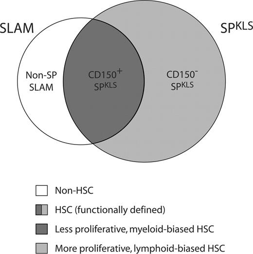 Figure 7. SPKLS cells and SLAM cells are functionally overlapping populations. Non-SP cells can be found in significant numbers within the SLAM isolation scheme (particularly when using isotype controls to define the population), and these non-SP cells are not functional HSCs. Further, CD150− cells can be found within the SPKLS sort scheme. The gray area represents populations containing LT-HSC activity, with the darker gray central area representing the less proliferative myeloid-biased LT-HSCs. The area within the Venn diagram is roughly representative of the degree of overlap, but not precisely to scale.