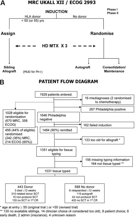 Figure 1. Outline of study and treatment demographics. (A) Simplified overall schema of the study. MUD indicates matched unrelated donor transplantation; HD MTX, high-dose methotrexate. (B) Patient flow diagram. All randomized patients with the exception of 2 misdiagnoses were included in the comparison of autologous transplantation and chemotherapy. A large number of patients were lost, as in all transplantation studies, in the period from initial accrual to randomization. Only Ph-negative patients were eligible for the intent-to-treat donor versus no-donor analysis as Ph-positive patients without a donor were to have unrelated donor transplantation if possible.