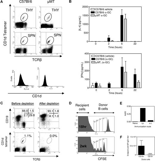 Figure 1. μMT mice as a tool for examining NKT-enhanced Ab production. (A) Thymocytes (THY) and splenocytes (SPN) were assessed for TCRβ+, CD1d tetramer+ cells (dot plots) and CD1d+ splenocytes (histograms). Data are representative of several (> 6) determinations. (B) Mice were immunized as described in “Immunization and sera collection,” and sera were collected at times indicated before Bio-Plex analysis. Data show serum IL-4 and IFNγ concentration (mean ± SEM, n = 2 for vehicle, n = 5 for C57Bl/6 and n = 2 for μMT). Samples were analyzed in duplicate. No response was elicited with α-GC in CD1d−/− mice (not shown). Data are representative of 2 independent experiments. (C) Complement-mediated lysis of Thy1.2- and CD4-labeled cells depletes T and NKT cells resulting in a B cell–enriched preparation. Data are representative of several (> 6) determinations. (D) CFSE-labeled C57Bl/6 B cells were adoptively transferred to μMT mice. Cells were detected in recipient spleen after 18 hours (top panel) and 2 weeks after immunization with NP-KLH/Alum (bottom panel). (E) B cells were transferred into μMT recipients, which were then untreated (naive) or immunized 24 hours later with NP-KLH/Alum by the intraperitoneal or subcutaneous route. Sera were obtained after 2 weeks and anti-NP IgG1 detected by enzyme-linked immunosorbent assay. Data show A405 at a 1 of 1000 dilution of serum. (F) After T/NKT-depletion, CD19+ cells and CD19− (non-B/non-T cells) were resolved by magnetic sorting. C57Bl/6 mice were adoptively transferred with 2 × 107 CD19+ cells or 106 CD19− cells before immunization with NP-KLH/α-GC. The graph shows that the resulting Ab response was the result of the CD19+ fraction. The CD19− cellular fraction was determined by flow cytometry to be approximately 50% granulocytes and 50% DCs (not shown). Data in panels D-F show the results from single experiments.