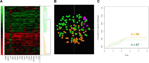 Figure 1. Assessment of Affymetrix data. (A) Hierarchical clustering using a simple matching similarity metric with average linkage of 127 childhood ALL patients using expression values of the 15 probe-set (14 genes). (B) Principal component analysis. Clusters indicated by green and orange correspond to hierarchical cluster dendrogram.(C) Cumulative incidence of relapse among the 127 patients for the 2 patient groups. Time is in years. Lines indicated by green and orange correspond to the clusters identified by the hierarchical dendrogram.