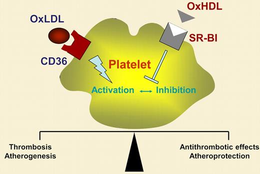 Hypothelial role of OxHDL/CD36 and OxHDL/SR-BI interaction in regulation of platelet function.