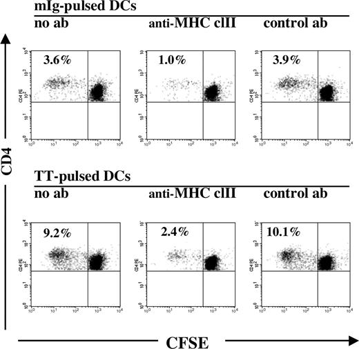 Figure 1. Proliferation of CD4+ T cells cocultured with autologous DCs pulsed with mIg or TT. The percentages of proliferating cells among the total CD4+ T-cell population analyzed after 7 days of coculture are indicated, as deduced from the relative numbers of CD4+ T cells with reduced intracellular concentrations of CFSE (CFSE-low). Middle graphs depict a decrease in proliferation of CD4+ T cells when antigen-pulsed DCs were preincubated with anti–MHC class II antibodies (ab), in comparison with preincubation with isotype control (right graphs) or without antibody (left graphs).