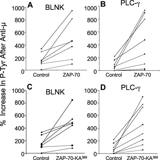 Figure 3. Increases in phosphorylated BLNK and PLC-γ induced by anti-μ in ZAP-70− CLL transduced with Ad-ZAP-70 or Ad-ZAP-70-KA369. The panels show the percentage increase in phosphorylated BLNK (A,C) and PLC-γ (B,D) induced by treatment with anti-μ, as indicated on the y-axis of each panel. Each symbol represents the percentage increase in phosphorylated protein detected in an individual CLL cell sample. The lines connect the percentage increase in detected phosphorylated protein of anti-μ–treated CLL cell samples transduced with Ad-lacZ (“Control” in each panel) versus that measured in the same CLL cells that had been transduced with Ad-ZAP-70 (A,B) or Ad-ZAP-70-KA369 (C,D). The mean anti-μ–induced increase in each phosphoprotein detected in the Ad-ZAP-70– or Ad-ZAP-70-KA369–transduced CLL cells was significantly greater than that noted for the same phosphoprotein in the Ad-lacZ–transduced CLL cells following treatment with anti-μ (P < .05), which was not significantly different from that of anti-μ–treated mock-transfected CLL cells.