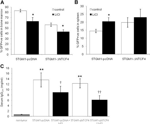 Figure 5. Increasing Wnt signaling in the bone microenvironment reduces myeloma tumor burden in bone. Mice were inoculated intravenously with 5TGM1-pcDNA or 5TGM1-ΔNTCF4 myeloma cells that homed to bone marrow and spleen. Single cell suspensions were isolated from bone marrow and spleen, and the proportion of GFP-positive cells was determined by flow cytometry. LiCl significantly reduced the proportion of GFP-positive cells in the bone marrow of both 5TGM1-pcDNA and 5TGM1-ΔNTCF4 myeloma–bearing mice (A). In contrast, LiCl significantly increased the proportion of GFP-positive bone marrow cells in the spleen of 5TGM1-pcDNA myeloma–bearing mice but not 5TGM1-ΔNTCF4 myeloma–bearing mice (B). Treatment with LiCl significantly reduced serum IgG2bκ concentrations in both 5TGM1-pcDNA and 5TGM1-ΔNTCF4 myeloma–bearing mice (C). Data are expressed as means (± SEM). *P < .05 compared with control. **P < .01 compared with nontumor. †P < .05, ††P < .01 compared with untreated.