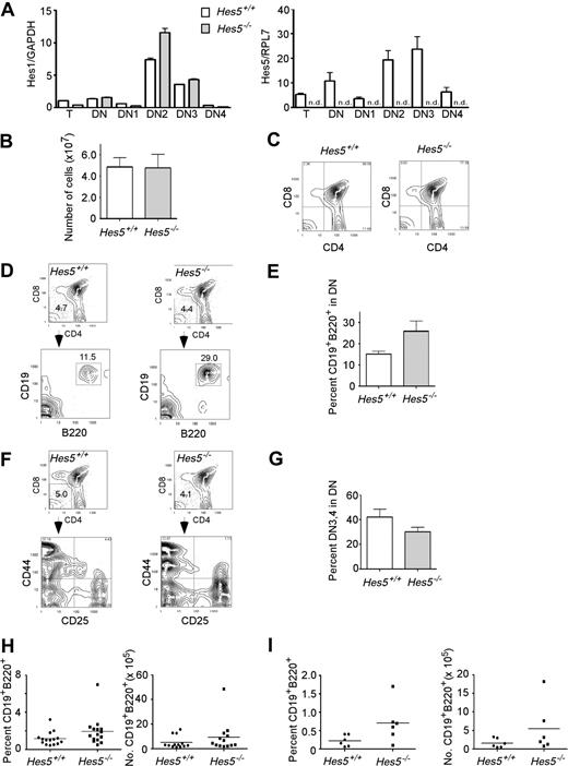Figure 1. Despite significant Hes5 expression in thymus and thymus subsets, Hes5-deficient thymus contains normal cell numbers and normal proportions of T-cell subsets, but shows a higher percentage of B cells in the thymus. (A) RNA was prepared from whole thymus (T), and sorted thymus subsets DN (CD4−CD8−) and DN gated subsets DN1 (CD44+CD25−), DN2 (CD44+CD25+), DN3 (CD44−CD25+), and DN4 (CD44−CD25−). Hes1 and Hes5 mRNA levels were quantitated using RT-PCR. □ depicts mRNA levels in wild-type Hes5+/+ thymus; ▩, mRNA levels in Hes5−/− thymus. Values are means of 3 replicates plus or minus SEM. ND indicates not detected. (B) Mean (± SEM) total number of thymus cells from 13-Hes5 deficient mice and their littermates from 6 separate litters. (C) Surface expression of CD4 and CD8 antigens on thymus cells from a representative Hes5−/− mouse and Hes5+/+ littermate. Numbers in the corners represent the percentage of cells within the respective quadrant. (D,F) Top contour plots, showing surface staining for CD4 and CD8 antigens, depict the gated DN subset for representative Hes5−/− and Hes5+/+ littermates, while bottom contour plots depict CD19 and B220 antigen expression (D) and CD25 and CD44 antigen expression (F) by the gated DN population. (E,G) Bar graphs depict the mean percentage (± SEM) of gated DN cells expressing B220 and CD19 (E), CD44−CD25+ (DN3), and CD44−CD25− (DN4) (G) for 11 Hes5−/− mice and their Hes5+/+ littermates. (H) Scatter plots depict the individual percentage (± SEM) and number of B220+CD19+ cells. (I) Scatter plots depict the mean percentage (± SEM) and number of B220+CD19+ cells in 3 Rag1−/− recipients 4 weeks after transplantation of 2 × 105 bone marrow cells from 6 Hes5−/− and 6 Hes5+/+ littermates.