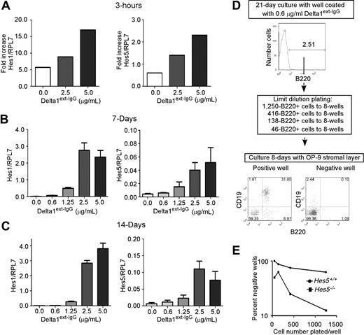 Figure 2. Delta1 dose-dependent induction of Notch target genes Hes1 and Hes5 and Hes5 is required to accurately detect different levels of Notch signaling induced by different densities of Delta1ext-IgG. (A-C) RNA was prepared from uncultured LSKSP cells or from LSKSP cells incubated for 3 hours (A), 7 days (B), and 14 days (C) in wells precoated with Delta1ext-IgG solutions (ranging from 10 μg/mL) or human IgG1 solutions (10 μg/mL; depicted as 0). Hes1 and Hes5 mRNA levels were determined by SyBR green quantitative RT-PCR. Results are normalized to the housekeeping gene Rpl7 and are shown either as fold-increase (A) in cultured cells versus uncultured cells or as absolute values. Each bar represents the mean (± SEM) of 3- replicates. (B,C) Generated slopes are significantly different from 0.0 (P < .05). (D) After incubation of sorted LSKSP from Hes5+/+ or Hes5−/− littermates with different densities of Delta1ext-IgG, sorted B220+ cells were transferred to OP-9 stromal layers. Wells were designated positive if more than 1% of the cells growing on OP-9 stromal layers were B220+CD19+. (E) Plot showing results of a single dose using limit dilution to calculate a frequency for B-cell progenitors. In this representative example, the calculated frequency of B-cell progenitors in Hes5+/+ is 490 per 106 B220+ starting cells and for Hes5−/− is 3205 per 106 B220+ starting cells.
