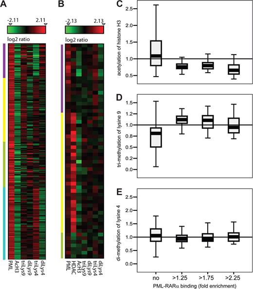 Figure 1. PML-RARα binding and histone modification changes. ChIPs were performed with zinc-induced U937-PML-RARα cells (Pr9) and U937-empty vecor cells (PMT) with the indicated antibodies. Amplified ChIPs were hybridized on promoter and CpG island microarrays. Bioinformatics analyses identified PML-RARα–bound sequences and the histone modifications in the 2 cell lines. (A,B) The heatmaps of the 372 target genes indicate the average ratio between Pr9 versus PMT of the different arrays performed for each antibody. All values are visualized using the log ratio of signals in U937-PML-RARα versus control cell line (averages of 2-4 independent experiments). Red indicates an enrichment and green a decrease for PML-RARα or HDAC binding or the respective histone modification. The genes were clustered using a self-organizing map algorithm (with a 2 × 2 grid). The heatmaps were computed with Mayday. (A) Heatmap of promoter loci (271 genomic PML-RARα targets). (B) Heatmap of CpG island loci (101 genomic PML-RARα targets). (C-E) Enrichment of PML-RARα binding was categorized as absent (no), weak (> 1.25), intermediate (> 1.75), and strong (> 2.25) enrichment. The box plots indicate the range of changes for the different histone modifications between the promoters in U937-PML-RARα expressing versus U937–empty vector cells. The boxes indicate the range of 50% of the data points, and the whiskers contain 75% of the observed data points. The medians are indicated as horizontal lines in the boxes. The changes for acetylation of histone H3 and trimethylation of lysine 9 are statistically significant (P < .01), whereas dimethylation of lysine 4 is not.