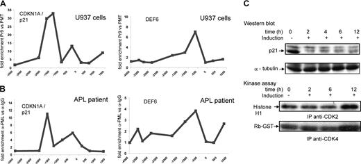 Figure 4. DEF6 and p21 are targets of PML-RARα. (A) ChIPs of zinc-induced U937-PML-RARα and U937–empty vector cells were performed with an α-PML antibody. The localization of PML-RARα binding at the DEF6 and p21 promoters was analyzed in U937 cells using a series of real-time PCR amplicons that tiled a 5-kb region surrounding the transcriptional start site. The fold enrichment of signal in PML-RARα–expressing U937 cells is indicated compared with empty vector–expressing U937 cells. (B) ChIPs with an α-PML antibody and an IgG control antibody were performed with blasts from a patient with APL with the t(15;17) translocation. The fold enrichment of signal in the ChIPs with α-PML antibody is shown compared with ChIPs with an IgG control antibody. (C) Top panel: Immunoblot analysis was performed for p21 from whole-cell lysates of U937-PML-RARα cells before and after PML-RARα induction. Bottom panel: CDK2 and CDK4 were immunoprecipitated before and after induction of PML-RARα. Histone H1 and GST-Rb were used as substrates for in vitro kinase reaction to analyze the kinase activity of CDK2 and CDK4 in PML-RARα–expressing cells. PML-RARα induction was associated with an increase in CDK2 and CDK4 kinase activity.