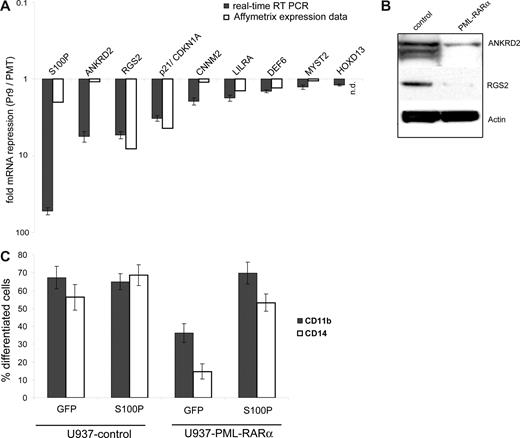 Figure 5. mRNA and functional analyses of PML-RARα targets. (A) Changes in mRNA expression of selected genes between zinc-induced U937-PML-RARα and U937–empty vector cells were confirmed by real-time RT-PCR. The bars indicate the fold mRNA repression upon PML-RARα expression for the microarray data and the real-time RT-PCR data (mean plus standard deviation). (B) Protein expression of ANKRD2 and RGS2 was decreased in U937-PML-RARα cells compared with U937–empty vector cells 12 hours after zinc induction as analyzed by Western blotting. (C) S100P expression can overcome the PML-RARα–induced differentiation block. U937-PML-RARα and U937–empty vector cells were transfected with GFP or GFP-S100P, subsequently zinc induced, and exposed to vitamin D3 24 hours after transfection. After 48 hours, cells were analyzed for CD11b and CD14 expression in GFP+ cells (mean plus standard deviation of 2 independent experiments).