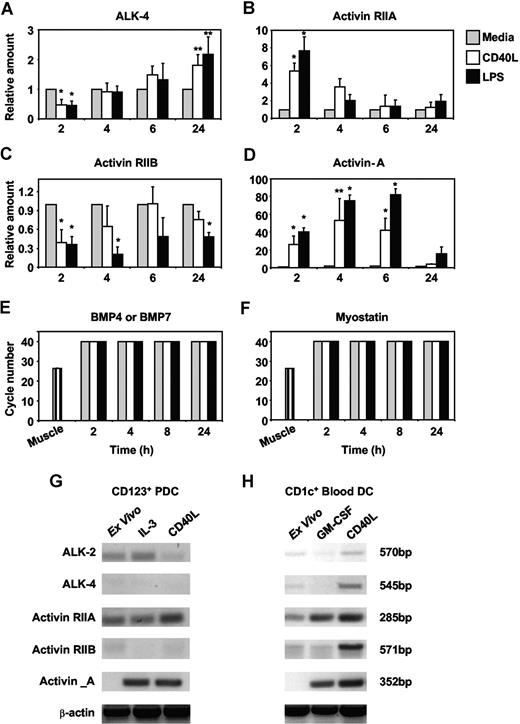 Figure 1. Activin-A receptor and protein gene expression by DCs. MoDCs were cultured in either GM-CSF + IL-4 or with CD40L (2 μg/mL) or LPS (100 ng/mL) for 2 to 24 hours before being harvested. DCs were then lysed and mRNA extracted and quantitative RT-PCR performed for detection of activin type I and II receptors (A-C), activin βA subunit (D), BMP 4 or 7 (E), myostatin (F), or β-actin. Data represent the mean plus or minus 1 SD of 3 separate donors. *P ≤ .01, **P ≤ .05 versus medium alone; CD123+ plasmacytoid (G) or CD1c+ blood DCs (H) were lysed immediately after purification or cultured in medium or stimulated with CD40L and RT-PCR performed for detection of activin type I and II receptors, activin βA subunit, or β-actin. Data shown are one representative experiment from 3 separate donors.
