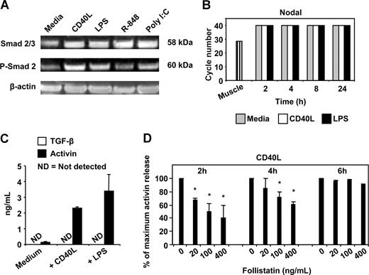 Figure 3. Smad signaling, nodal expression, TGF-β production, and effects of follistatin on CD40L-mediated activin-A production by MoDCs. Immature MoDCs were cultured in 24-well plates for 4 hours with either GM-CSF + IL-4 alone or with CD40L (2 μg/mL), LPS (100 ng/mL), R-848 (1 μg/mL), or poly I:C (10 μg/mL). (A) DCs were then lysed, protein extracted, and Western blotting performed for detection of Smad 2/3, phospho-Smad 2, or β-actin. Data shown are one representative experiment from 3 separate donors. Nodal mRNA expression was assessed by quantitative RT-PCR in the same MoDC donors represented in Figure 1A-F. (B) Immature MoDCs were cultured in 96-well plates either with GM-CSF + IL-4 alone or with 2 μg/mL CD40L or 100 ng/mL LPS for 24 hours (C) or cultured in 96-well plates with 2 μg/mL CD40L together with increasing concentrations of follistatin (D). Supernatants were collected after 24 hours or at the times indicated and assayed for TGF-β (C) and/or activin-A (C,D) protein by ELISA. Data represent the mean plus or minus 1 SD of 3 separate donors. *P ≤ .01 versus CD40L only.