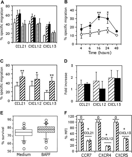 Figure 1. Dose- and time-dependent effect of BAFF on B-cell chemotaxis. (A) B cells were incubated for 16 hours with medium (□), 25 ng/mL (▫) or 100 ng/mL (■) BAFF, and 25 ng/mL (▤) or 100 ng/mL () APRIL, and were then tested for migration to 250 ng/mL CCL21, 250 ng/mL CXCL12, or 500 ng/mL CXCL13. Basal migration of B cells was 5% (± 1.4%, medium-treated), 4.7% (± 1.1%, 25 ng/mL BAFF–treated), 5.4% (± 0.5%, 100 ng/mL BAFF–treated), 4.3% (± 2%, 25 ng/mL APRIL–treated), and 5% (± 3%, 100 ng/mL APRIL–treated) Results are expressed as the mean percentage plus or minus SD of cells specifically migrating in response to each chemokine. (B) B cells were incubated for up to 48 hours with medium or 25 ng/mL BAFF. Mock-treated (□) and BAFF-treated (■) B cells were analyzed for migration to 500 ng/mL CXCL13. The experiment was performed using samples from 4 different donors, and basal migration ranged from 3% to 4% and 3.3% to 4.7% for mock- and BAFF-treated B cells, respectively. Results are expressed as the percentage plus or minus SD of specific chemotaxis. *P < .05; **P < .005. (C) B cells were treated for 16 hours with medium (□) or 25 ng/mL BAFF (▫) and analyzed for their migration to 250 ng/mL CCL21, 250 ng/mL CXCL12, and 500 ng/mL CXCL13. Basal migration was 4.4% (± 1.2%) and 4.3% (± 1.1%) for mock- and BAFF-treated B cells, respectively. Results are expressed as the mean percentage plus or minus SD of specifically migrating cells obtained for each donor. *P < .05; **P < .005. (D) B cells were treated for 16 hours with medium (data not shown), 25 ng/mL BAFF (▫), or 100 ng/mL CD40MGL (■) and analyzed for their migration to 250 ng/mL CCL21, 250 ng/mL CXCL12, and 500 ng/mL CXCL13. The experiment was performed using samples from 3 different donors, and basal migration was 3.3% (± 2.1%), 2.3% (± 1.5%), and 1.3% (± 0.6%) for mock-, BAFF-, and CD40MGL-treated B cells, respectively. Results are expressed as mean fold increase plus or minus SD. (E) The percentage of B-cell recovery after overnight culture with medium or 25 ng/mL BAFF was calculated for each donor. Results are expressed as median values obtained from 28 independent experiments. Error bars correspond to 95% confidence intervals about the median. (F) B cells from 3 different donors were incubated for 16 hours at 37°C with medium (□) or 25 ng/mL BAFF (▫) and then incubated for 60 minutes at 37°C with medium or 100 ng/mL chemokines. Cells were washed in ice-cold medium and stained with PE-conjugated CCR7, CXCR4, or CXCR5 mAb for 30 minutes at 4°C. The mean channel fluorescence intensity (MFI) values for mock-treated cells were between 57 and 123 for CCR7, 356 and 1067 for CXCR4, and 64 and 81 for CXCR5. Each of these individual values was considered as 100% expression. Data are expressed as the mean plus or minus SD percentage of MFI values for remaining surface expression.