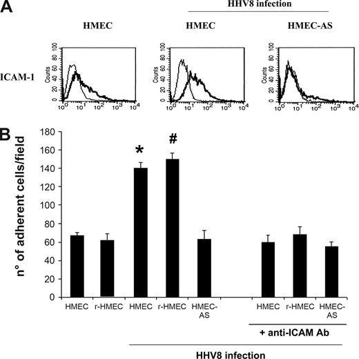 Figure 4. HHV-8 infection induced the expression of ICAM-1 in HMECs but not in HMEC-AS and enhanced leukocytes adhesion that correlated with the expression of PAX2 by HMECs. (A) The expression of ICAM-1 by HMECs and HMEC-AS 3 days after infection with HHV-8 was evaluated by fluorescent-activated cell sorter (FACS) analysis and compared with control uninfected HMECs. Cells were detached with nonenzymatic solution and incubated with specific primary antibody for 30 minutes and finally with PE goat anti–mouse IgG for 20 minutes. FACS histograms are representative of 3 independent experiments with similar results. (B) The adhesion of leukocytes to endothelium was evaluated. Labeled lymphocytes were added to a monolayer of uninfected HMECs and r-HMECs or HMECs, r-HMEC-AS, and HMEC-AS infected with HHV-8 after 3 days and were incubated for 30 minutes at 37°C, 5% CO2 in a humidified atmosphere in static condition. After washing, adherent cells were counted in each well. In some experiments, endothelial monolayers were incubated with an anti-ICAM-1 blocking antibody to verify whether enhanced leukocytes adhesion depended on HHV-8–induced expression of ICAM-1. Data are means plus or minus SD of 3 independent experiments performed in triplicate. Analysis of variance with Newman-Keuls multiple comparison test was performed (*P < .005, infected HMECs vs uninfected HMEC; #P < .05, infected r-HMECs vs uninfected r-HMECs).