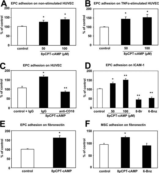 Figure 2. Effect of 8-pCPT-2′-O-Me-cAMP on the adhesion of EPCs on HUVEC or matrix proteins. (A,B) EPCs were preincubated in suspension for 15 minutes with the indicated concentrations of 8-pCPT-cAMP or PBS (control). After washing out 8-pCPT-2′-O-Me-cAMP, EPCs were added to the HUVEC monolayers. (A) Nonstimulated HUVECs (n = 9). (B) TNFα stimulated HUVECs (n = 6, *P < .05 vs control). (C) EPCs were preincubated in suspension with 8-pCPT-2′-O-Me-cAMP (100 μM) for 15 minutes. After washing out 8-pCPT-2′-O-Me-cAMP, EPCs were added to TNFα-stimulated HUVECs in the presence of blocking monoclonal β2-integrin antibodies or murine isotype control antibodies and incubated for 20 minutes at 37°C (n = 3, *P < .05 vs control + IgG; **P< .01 vs 8-pCPT-cAMP + IgG). (D) EPCs were stimulated with the indicated 8-pCPT-2′-O-Me-cAMP concentrations for 15 minutes before adhesion or with 8-Br-cAMP and 6-Bnz-cAMP. Adhesion of EPC to ICAM-1-coated plates was detected after 15 minutes (n = 9, *P < .05 vs control; **P< .01 vs contol). (E) EPCs were stimulated with 8-pCPT-2′-O-Me-cAMP (100 μM) for 15 minutes before adhesion. Adhesion of EPC to fibronectin-P-coated plates was detected after 15 minutes (n = 7, *P < .05 vs control). (F) MSCs were stimulated with 8-pCPT-2′-O-Me-cAMP (100 μM) or 6-Bnz-cAMP (100 μM) for 15 minutes before adhesion. Adhesion of EPC to fibronectin-coated plates was detected after 15 minutes (n = 5, *P < .05 vs control). Error bars represent SEM.