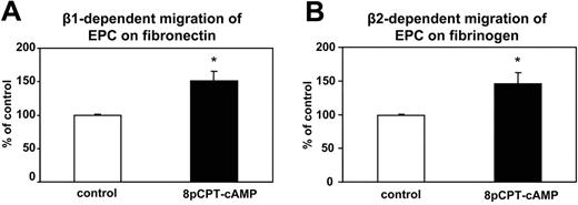 Figure 3. Effect of 8-pCPT-2′-O-Me-cAMP on the migration of EPC on matrix proteins. EPC migration assays on fibronectin (n = 19) (A) or fibrinogen (n = 11) (B) were performed. EPCs were stimulated in suspension with addition of PBS (control) or with 8-pCPT-2′-O-Me-cAMP 100μM. After washing out 8-pCPT-2′-O-Me-cAMP, EPCs were allowed to migrate. Data are presented as mean migrated cells (% of control) plus or minus SEM. * indicates Pless than .05 vs control.