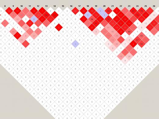 Figure 1. Linkage disequilibrium (LD) plot based on the 179 PV, ET, and PMF study participants. The numbers in the boxes are the r2 measure, and the boxes are colored according to D′ measure.