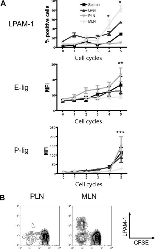 Figure 1. Differential induction of homing molecules on allogeneic donor T cells in vivo. CFSE-labeled naive allogeneic donor T cells (B10.BR) were adoptively transferred into lethally irradiated hosts (C57BL/6), and expression of LPAM-1, E-lig, and P-lig on donor T cells was determined in spleen, liver, PLNs, and MLNs after 3 days. (A) Whereas the gut-homing molecule LPAM-1 is induced in MLNs, E-lig and P-lig are induced in PLNs (PLNs vs MLNs, *P = .002, **P < .005, ***P = .001). Expression of all molecules is intermediate in spleen and liver. Error bars represent SEM. (B) Representative example for LPAM-1 up-regulation on dividing (CFSElo) donor T cells in MLNs.