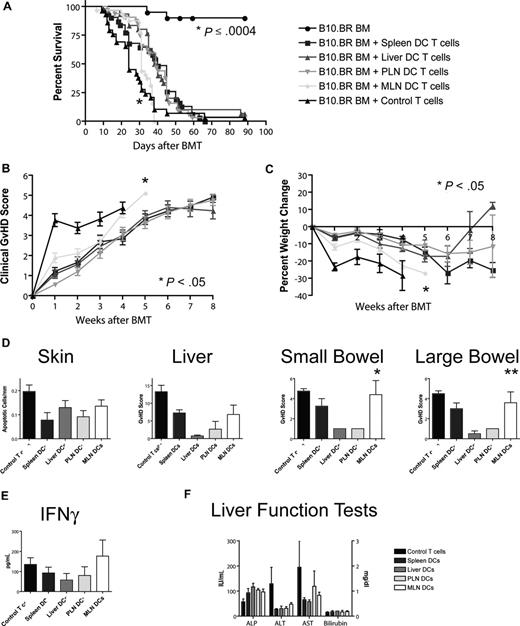 Figure 5. Allogeneic T cells stimulated with host-type MLN DCs in vitro induced the highest GVHD mortality and morbidity after bone marrow transplantation in vivo. (A) Naive allogeneic donor T cells stimulated with organ-derived host-type dendritic cells in vitro were used as donor T cells in an MHC-mismatched B10.BR into C57BL/6 murine BMT model with T cell–depleted 5 to 10 × 106 BM cells and 106 T cells (n = 28-32, 4 combined experiments). Survival was significantly shorter for the MLN DC group (*MLN vs liver/PLN: P < .001, MLN vs spleen: P = .001) with 40 days median survival for spleen-derived dendritic cells, 39 days for liver-derived dendritic cells, 39 days for PLN DCs, and 31 days for MLN DCs. (B) Clinical GVHD score (*MLN vs spleen/PLN: P < .001, MLN vs liver: P = .024) and (C) weight curves (*MLN vs spleen/PLN: P < .001, MLN vs liver: P = .013) show higher GVHD morbidity for the MLN DC group. (D) Histopathologic analysis of the GVHD target organs skin, liver, and small and large bowel at day 14. There is a trend toward higher GVHD scores in the small and large bowel of the MLN DC group (*MLN vs liver/PLN: P < .05, **MLN vs liver: P < .05). (E) Levels of IFN-γ and (F) liver function tests at day 14 on sera of mice that underwent transplantation are comparable among all groups. Error bars represent SEM.