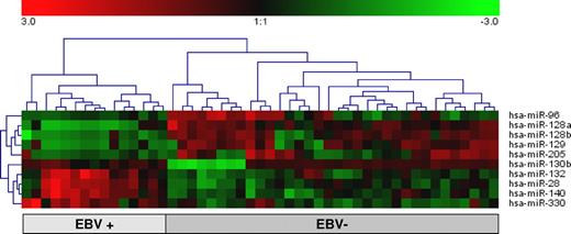 Figure 5. MiRNAs differentially expressed in EBV+ versus EBV− cases.