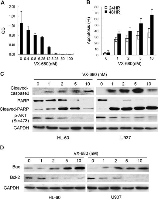 Figure 3. VX-680 induces cellular caspase activation and increases Bax/Bcl-2 ratio in AML cells. (A)VX-680 inhibits cell proliferation in a dose-dependent manner. HL-60 cells were incubated with increasing doses of VX-680 or DMSO for 72 hours. Cell survival rate was measured by MTT assay. (B) VX-680 induces apoptosis in HL-60 cells. Cells were incubated with VX-680 and collected at time points as indicated. The apoptosis was assessed as sub-G1 population by flow cytometry. VX-680 induces HL-60 cells apoptosis in both dose-dependent and time-dependent manners. (C-D) AML HL-60 and U937 cells were treated with increasing concentrations of VX-680. Cells were collected, lysed, and subjected to Western blot analysis with cleaved-caspase3, cleaved-PARP, p-Akt-1(Ser473), Bax, Bcl-2 specific antibodies. GAPDH was used as a loading control. Data shown are representative of 3 independent experiments.