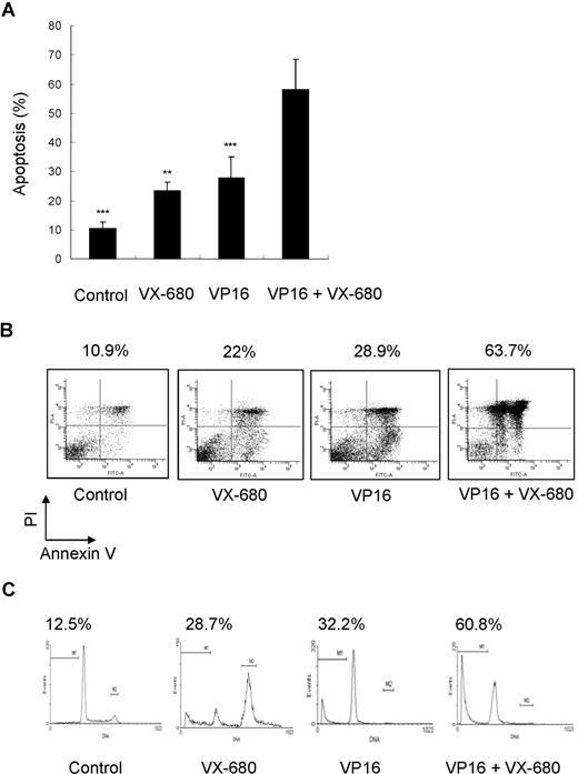 Figure 7. Effect of combination of VX-680 and VP16 on apoptosis of AML blasts. (A) Cells from AML blasts were incubated with indicated doses of VX-680, VP16, or a combination of both for 72 hours before staining with annexin V-FITC and PI. The apoptosis was assessed by flow cytometry; Columns, mean; bars, SD. **P < .01; ***P < .001. (B) Cells from patient 12 (71% blasts) were incubated for 72 hours with indicated doses of VX-680 and VP16 before staining with annexin V-FITC. The percentages of apoptotic cells are displayed. (C) Sub-G1 analysis of apoptotic blasts. Blasts from patient 12 were stained with PI. The percentage of apoptotic blasts in sub-G1 (gate M1) is displayed.