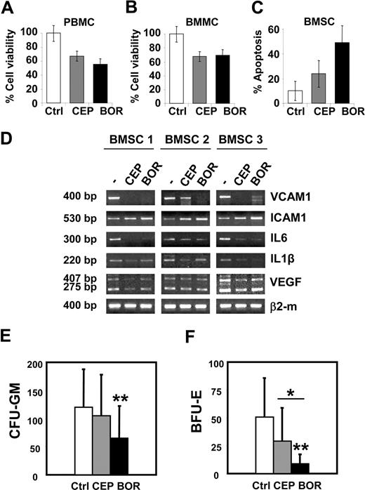 Figure 4. Cytotoxicity profile of CEP-18870 against normal human cells. (A,B) BMMCs and PBMCs were treated with control diluent, CEP-18770 (20 nM) or BOR (10 nM) for 48 hours. PBMCs were derived from 5 nonmyelomatous donors; BMMCs from 2 nonmyelomatous donors and from 7 patients with MM; cell viability was measured by MTT assay. Cells were incubated in triplicate for each condition. Histograms represent means (± SD, error bars) of data derived from different patients, as indicated above in this paragraph. (C) BMMCs derived from 5 nonmyelomatous donors and from 7 patients with MM were used to establish long-term BMSC cultures. BMSCs were treated with control diluent, CEP-18770 (20 nM), or BOR (10 nM) for 6 days. Apoptosis was measured by flow cytometry after TMRM staining. Histograms represent the means (± SD, error bars). (D) CEP-18870 inhibits the expression of inflammatory cytokines and adhesion molecules in BMSCs. BMSC cultures, obtained as described above, were expanded for 4 to 6 passages and treated with control diluent, CEP-18870 (20 nM), or bortezomib (BOR) (10 nM) for 60 hours. Levels of VCAM1, ICAM1, IL6, IL1β, VEGF isoforms, and β2-microglobulin mRNA were analyzed by semiquantitative RT-PCR. Fragment length is indicated; 275 base pairs (bp) and 407 bp amplification fragments correspond to the known VEGF isoforms of 121 and of 165 amino acids, respectively. BMSCs were derived from 1 patient with MM (BMSC 1) and from 2 nonmyelomatous donors (BMSC 2 and 3). (E,F) Hematotoxicity of CEP-18770 and BOR on bone marrow progenitors. BMMC derived from 16 patients with MM (PC < 10%) were pretreated with control diluent, CEP-18870 (20 nM), or BOR (10 nM) for 48 hours. Cells were washed and cultured in cytokine-containing methylcellulose medium for granulocyte-macrophages (CFU-GM) or erythroid (BFU-E) colony formation. (E) Early CFU-GM and (F) BFU-E-derived colonies were scored after 14 days of incubation. Histograms represent the means (± SD; error bars). *P < .05; **P < .01 as analyzed by Student t test.
