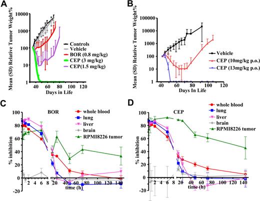 Figure 6. Antitumor efficacy and pharmacodynamic profile of proteasome inhibition of CEP-18770 and bortezomib in MM tumor xenografts. RPMI 8226 human MM xenografts were implanted subcutaneously in SCID mice. Treatment started after establishing a palpable subcutaneous tumor (100-140 mm3). Representative intravenous and oral efficacy data are shown. (A) CEP-18770 and bortezomib were administered intravenously, twice a week for 4 weeks (2q7d×8 injections) at the doses indicated as a solution of 10% Solutol HS15/87% buffered saline/3% DMSO in a volume of 10 mL/kg body weight mouse. (B) CEP-18770 was administered orally (p.o.) in a solution of 3% DMSO, 10% Solutol, and 87% sterile NaCl 0.9% twice a week for 4 weeks at the indicated doses in a volume of 20 mL/kg body weight mouse. Tumor parameters were measured and analyzed as detailed in “Subcutaneous tumor xenograft models.” (C,D) Pharmacodynamic profile of proteasome inhibition in RPMI 8226 xenografts and normal peripheral tissues of mice at the maximum tolerated doses (MTD) of CEP-18770 and bortezomib administered intravenously in SCID mice. Time-course proteasome inhibition after a single intravenous administration was measured by an ex vivo fluorimetric kinetic assay of chymotrypsin-like activity. Proteasome percentage inhibition (PI %) in sample tissue lysates from treated versus vehicle-treated control mice was calculated as: (Slope of control tissues − slope of treated tissues) / (Slope of control tissues × 100) after normalization for protein content of tissue and hemoglobin content of whole blood. Results shown are means (± standard deviation) of 3 independent experiments (3 mice per time point).
