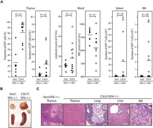 Figure 2. Development of T-cell leukemia in the recipients of SPA-1−/− HPCs expressing C3G-F. (A) HPCs from SPA-1−/− mice were infected with empty (Vect) or C3G-F–containing retrovirus and transplanted into lethally irradiated B6 mice. Nine to 12 weeks later, the proportions and numbers of GFP+ cells in various tissues as well as the leukocyte and red blood cell counts in blood were determined. Six of 12 recipients of C3G-F/SPA-1−/− HPCs (○) became moribund in 9 to 12 weeks, when they were killed. Bars indicate the mean values; statistical analysis was done by Student t test. (B) Representative thymus and spleen of each group. In C3G-F/SPA-1−/− HPC recipients, lymphoadenopathy was frequently detected, and a swollen abdominal lymph node is also shown. (C) Hematoxylin-eosin–stained photographs of the indicated organs of Vect/SPA-1−/− and C3G-F/SPA-1−/− HPC recipients. Magnifications are indicated. C indicates cortex; M, medulla.