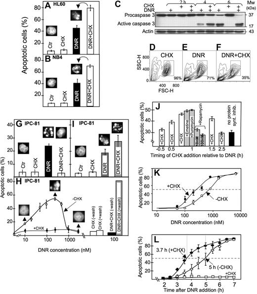 Figure 1. Protein synthesis inhibitor enhanced anthracycline-induced AML cell death, although suppressing death phenotype features in some cells. (A) HL60 cells were treated for 6 hours with DNR (1.6 μmol/L) and CHX (3.6 μmol/L), alone or in combination, and scored for apoptosis (insets; see “Assessment of apoptosis”). (B) NB4 cells were treated for 6 hours with DNR (5 μmol/L) and CHX (3.6 μmol/L), alone or in combination, and scored for apoptosis. (C) Extracts from HL60 cells treated with DNR (8 μmol/L) for 2, 4, or 6 hours in the absence or presence of CHX (3.6 μmol/L, added 1 hour after DNR) were immunoblotted for caspase 3. (D-F) Flow cytometric analysis (representative of 4 separate experiments) of HL60 cells treated for 4 hours with vehicle (D), 8 μmol/L DNR (E) or DNR + 3.6 μmol/L CHX (F). Note that DNR + CHX converted twice as many cells as DNR alone to a compartment with decreased forward (FSC-H) and side (SSC-H) scatter. (G) Scoring of morphologically evident apoptosis in IPC-81 cells treated for 5 hours with DNR (0.1 μmol/L) alone or in combination CHX (3.6 μM). (H) IPC-81 cells were treated for 6 hours with various concentrations of DNR alone or with CHX (3.6 μmol/L) and scored for apoptotic morphology. Note the lack of cell budding, nuclear fragmentation, and chromatin condensation with DNR + CHX and with DNR more than ∼1 μmol/L. The bars show apoptosis in cells incubated for 6 hours with DNR + CHX or CHX alone, washed in excess medium, and incubated without DNR and CHX for another 12 hours before assessment of apoptosis. Note the high proportion of apoptotic cells after washing. (I) As for panel G, except that cells were treated for 3 hours with DNR (0.1 μmol/L) and CHX (3.6 μmol/L), washed and further incubated for 9 hours (as explained in panel H) before scoring of apoptosis. (J) HL60 cells received the protein synthesis inhibitors emetine (10 nmol/L), puromycin (180 nmol/L), rapamycin (10 or 100 nmol/L), or CHX (3.6 μmol/L) at various time points relative to DNR (1.6 μmol/L), and apoptosis scored 4.5 hours after DNR addition. (K) HL60 cells were treated for 6.5 hours with various concentrations of DNR (50-8000 nmol/L) in the absence (○) or presence (●) of CHX (3.6 μmol/L) and scored for apoptosis. (L) The accumulation of apoptotic HL60 cells as a function of time after addition of DNR (8 μmol/L) alone (○), CHX (3.6 μmol/L) alone (□), or a combination of the 2 (●). CHX was added 1 hour after DNR. Apoptosis scores represent the means (± SEM) of 3 to 6 experiments.