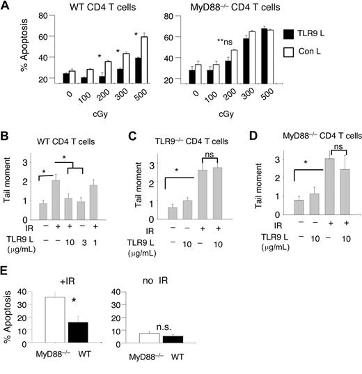 Figure 4. TLR9 engagement decreases sensitivity to IR-induced apoptosis via the TLR9-MyD88–signaling transduction pathway. (A) CD4 T cells from WT or MyD88–/– mice were activated and treated with TLR9 ligand or control ligand as described in Figure 1. Twenty-four hours after TLR9 treatment, T cells were irradiated using various doses of γ-radiation, and apoptosis was determined by flow cytometry. (B-D) CD4 T lymphocytes from WT, TLR9–/–, or MyD88–/– BL/6 mice were activated with plate-bound anti-CD3/CD28 Ab and treated or not with the indicated concentrations of TLR9 ligand before exposure to IR (300 cGy). Irradiated T cells were allowed 30 minutes to repair DNA before damage was measured using comet assay. Data shown are representative of several experiments, each showing similar trends; data are the means (± SD, n > 150 cells per condition). (E) CD4 T cells from CD45.1 mice were mixed at a 1:1 ratio with MyD88–/– CD4 T lymphocytes (which express CD45.2) and activated with plate-bound CD3/CD28 Ab and treated with TLR9 ligand as described. Twenty-four hours after TLR9 treatment, T cells were or were not irradiated (300 cGy) and the levels of apoptosis from each group were measured by flow cytometry 24 hours after irradiation. The Student t test was used to determine P values between the indicated groups; *P < .05; ns indicates not significant; data are the means (± SD).