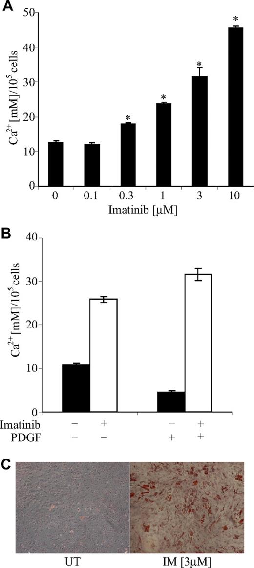 Figure 3. Imatinib promotes mineral formation in bone trephine explant cultures. (A) Posterior superior iliac spine bone trephine explant cultures were grown under osteoinductive conditions in the presence of various concentrations of imatinib for 4 weeks. Mineralized matrix was solubilized in 0.6 M HCl and the concentration of calcium per 105 cells quantified as previously described.20 A dose-dependent increase in mineral formation was observed in the presence of imatinib. Mean values are shown; error bars represent the standard error of triplicate measurements. *P ≤ .05. (B) To examine whether the mechanism by which imatinib increased mineral formation was through inhibition of the PDGF receptor, mineralization assays were performed in the presence of exogenous PDGF-BB (10 ng/mL). The addition of PDGF-BB to control cultures (■) decreased mineral formation, which was overcome by the addition of 3 μM imatinib (□). Mean values are shown; error bars represent the standard error of triplicate measurements. (C) In addition to promoting mineral formation, imatinib induced adipocyte formation in osteogenic cultures. Lipid droplets are stained with Oil Red O and cells counterstained with hematoxylin. Original magnification 40×. UT denotes untreated cells; IM, imatinib-treated cells. Images acquired as detailed in the Figure 1 legend.