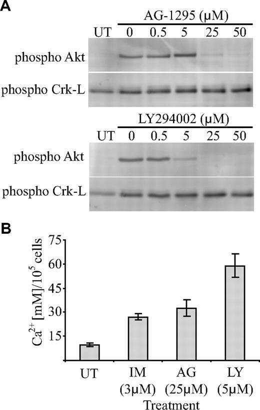 Figure 6. Inhibition of Akt activation in osteoblasts promotes mineralized-matrix production. (A) To determine the concentration range at which AG-1295 and LY294002 were inhibitory to PDGF-induced Akt phosphorylation, serum-deprived cells were treated with a range of drug concentrations and stimulated with PDGF (10 ng/mL) for 10 minutes, after which cell lysates harvested. Equivalent levels of cellular proteins were transferred to PVDF membranes and probed with phosphorylation-specific antibodies as indicated. (B) To determine the effect of the drugs on mineral formation, iliac crest bone trephine explant cultures were grown under osteoinductive conditions in the presence of an inhibitory concentration of the indicated drug for 4 weeks and the concentration of calcium per 105 cells was then quantified. IM represents imatinib; AG, AG-1295; LY, LY294002; and UT, untreated. Mean values are shown; error bars represent the standard error of triplicate measurements.