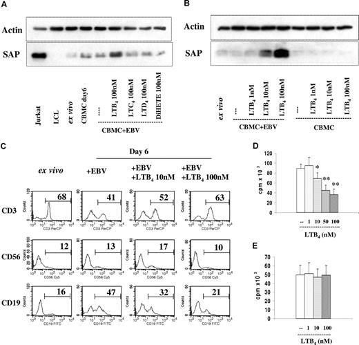 Figure 4. Added LTB4 induced SAP expression and inhibition of B-cell proliferation in the EBV-infected cord blood cell cultures. (A) SAP expression. Immunoblot as in Figure 1A. EBV-infected CBMCs were cultured for 6 days with LTB4, LTC4, LTD4, or 5(S),12(S)-DiHETE at 100 nM concentration. The results show 1 of 3 experiments. (B) Dose response of the added LTB4; 1 representative experiment of 4 performed. (C) Cell composition in EBV-infected CBMCs cultured with LTB4 for 6 days. The numbers denote the percentage of CD3+, CD56+, and CD19+ cells. (D) EBV-induced B-cell proliferation in the LTB4-containing cultures. 3H-thymidine incorporation was measured on the 6th day of culture, 3H-thymidine was present during the final 14 hours. The cultures were initiated with 2 × 105 cells. The results represent the means plus or minus SD of 4 independent experiments. * indicates P < .05, and **P < .01 compared with untreated cultures. (E) Isolated B cells were infected with EBV and cultured with LTB4. The cultures were initiated with 105 cells. Thymidine incorporation was measured on the 6th day of culture. The results represent the means plus or minus SD of 4 independent experiments.