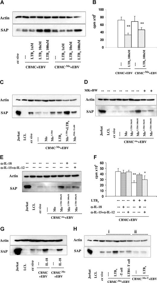 Figure 6. Contribution of monocytes (Mo's) and T lymphocytes to the SAP expression induced by LTB4 in the EBV-infected cultures. SAP expression was tested on the 6th day in all cultures. (A) EBV-infected CBMCs, total, and monocyte (Mo)–depleted populations were cultured with 1 nM, 10 nM, and 100 nM LTB4. One representative experiment of 4 performed. (B) B-cell proliferation. Total and monocyte (Mo)–depleted populations infected with EBV, and cultured without or with 100 nM LTB4. 3H-thymidine incorporation was measured on the 6th day of culture. The results represent the means plus or minus SD of 3 independent experiments. ** indicates P < .01 compared with untreated cultures. (C-E) Monocyte-depleted populations were infected with EBV. The separated monocytes were exposed to LTB4 for 20 hours, and thereafter reintroduced to the depleted population. The cultures were kept for further 5 days. (C) SAP expression. The separated monocytes were treated with LTB4 (100 nM), PSK (25 μg/mL), and Trx80 (100 nM). LTB4 was added to the cultures as indicated. The results show 1 representative of 3 experiments. (D) LTB4 (10 nM or 100 nM)–treated monocytes were reintroduced to the cultures. MK886 (1 μM) and BWA4C (100 nM) were added as indicated. (E) LTB4 (100 nM)–treated monocytes were reintroduced to the cultures. Anti–IL-18 (2 μg/mL), anti–IL-15 (10 μg/mL), and anti–IL-12 (10 μg/mL) reagents were added as indicated. (F) Cell proliferation. EBV-infected CBMC cultures without and with LTB4. To parallel samples, antibodies anti–IL-18 (2 μg/mL), anti–IL-15 (10 μg/mL), and anti–IL-12 (10 μg/mL) were added as indicated. 3H-thymidine incorporation was measured on the 6th day of culture. The results represent the means plus or minus SD of 3 independent experiments. * indicates P < .05, and **P < .01 compared with untreated EBV-infected cultures. (G) SAP expression. EBV-infected CBMCs, total, and monocyte (Mo)–depleted populations were cultured with 10 ng/mL IL-18. The results show 1 representative of 3 experiments. (H) SAP expression in monocyte and T-cell–depleted cultures. (i) Monocyte depleted cultures were infected with EBV and cultured without or with LTB4 (100 nM). On the sixth day of culture the cells were collected and the T cells were depleted before preparation of the lysates, which were then tested for SAP expression. (ii) Cell population depleted of Mo and T cells were infected with EBV and cultured without or with LTB4. The results show 1 representative of 3 experiments.